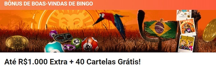 leovegas bonus bingo brasil